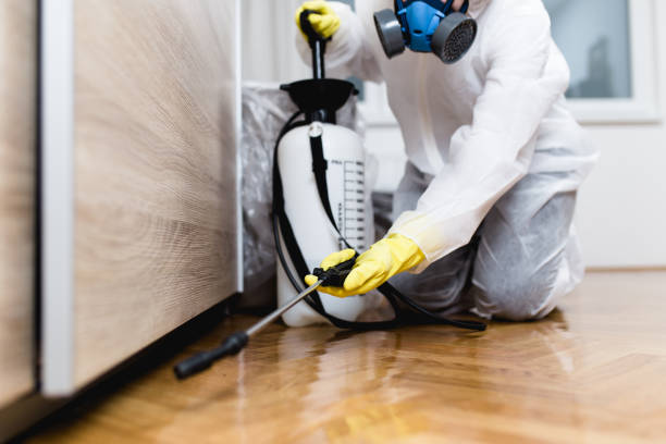 Best Cockroach Control Services  in Pooler, GA