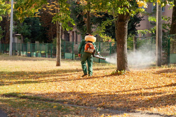 Pest Prevention Services in Pooler, GA