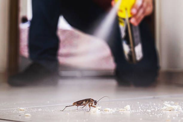 Best Insect Control  in Pooler, GA