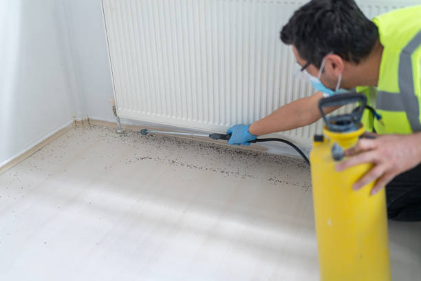 Flea Control Services in Pooler, GA