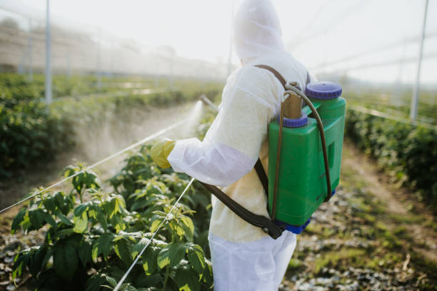 Best Termite Control Services  in Pooler, GA